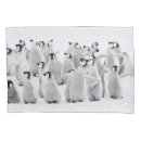 Suche nach cutest Cute baby animal
