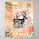 Suche nach vintage collagen poster Botanisch