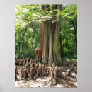 Suche nach baum wurzeln poster Einzigartig