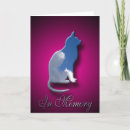 Suche nach verlust der katze Cats