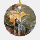 Suche nach herbstlaub ornamente Blätter