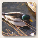 Suche nach wood untersetzer Vogelvogel