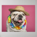 Suche nach brüssel poster Spaß