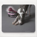 Suche nach loyalität mousepads Horizontal