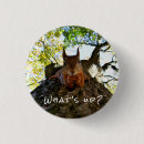 Suche nach niedliche eichhörnchen buttons Eichhörnchenliebhaber