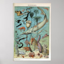Suche nach lebewesen poster Meerestiere