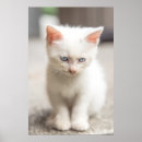 Suche nach blauer junge kunst Katze