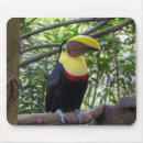 Suche nach costa mousepads Tierwelt