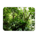 Suche nach regenwald magnete Grün