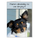 Suche nach apology karten Dog