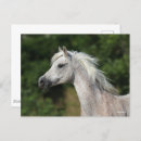 Suche nach arabische sprache postkarten Rasse