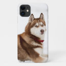 Suche nach husky iphone hüllen Alaskan malamute