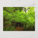 Suche nach ahornbaum postkarten Wald