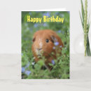 Suche nach ingwer karten Für kinder