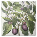 Suche nach vegen fliesen Deutsch