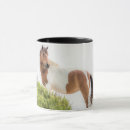 Suche nach gemalte pferde tassen Pony