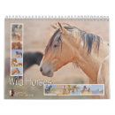 Suche nach pferde kalender Fotografie