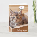 Suche nach karton karten Katze