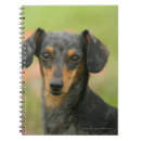 Suche nach haarig kleine notizbücher Bob und pam langrish