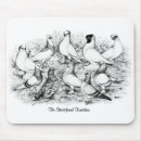 Suche nach tauben mousepads Vogelvogel