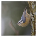 Suche nach baumstämme fliesen Baumstamm