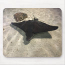 Suche nach strahl mousepads Computer