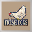 Suche nach frische eier poster Hühner