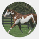 Suche nach paint horse aufkleber Bob langrish