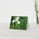 Suche nach weiße iris karten Mit blumen