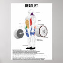 Suche nach diagramm poster Anatomie