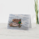 Suche nach enten karten Entlein