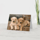 Suche nach happy labrador karten Hund