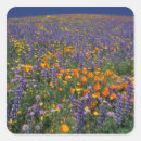 Suche nach los angeles kalifornien aufkleber Landschaft