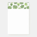 Suche nach ohne blätter poster post it Palme