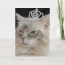Suche nach ragdoll cat karten Kitty