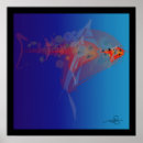 Suche nach kleine fische poster Orange