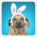 Suche nach bizarre aufkleber Hund