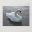 Suche nach schwan postkarten Tier