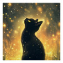 Suche nach katzen nachts poster Katzenliebhaber