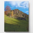 Suche nach wieser fotoplatten Natur