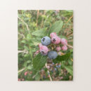 Suche nach blaubeere puzzle Natur