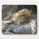 Suche nach faul mousepads Tier