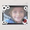 Suche nach roter punkt postkarten Ladybug