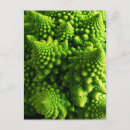 Suche nach dreidimensional postkarten Grün