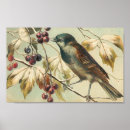 Suche nach vintager vogel poster Beeren