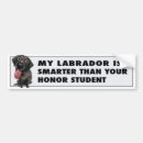 Suche nach schwarzer labrador retriever hund autoaufkleber Labradors