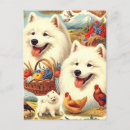 Suche nach samoyed postkarten Welpe
