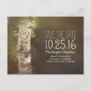 Suche nach birke save the date Rinde