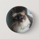 Suche nach katzenaugen buttons Kätzchen