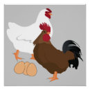 Suche nach huhn und eier poster Vögel